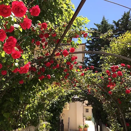 Отель Parco Delle Rose 4*